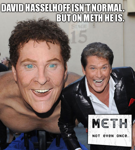 hoff.png