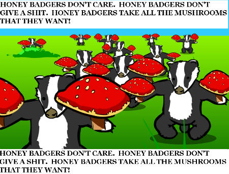honeybadgersmemecopy-1.jpg