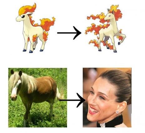 ponyta.jpg