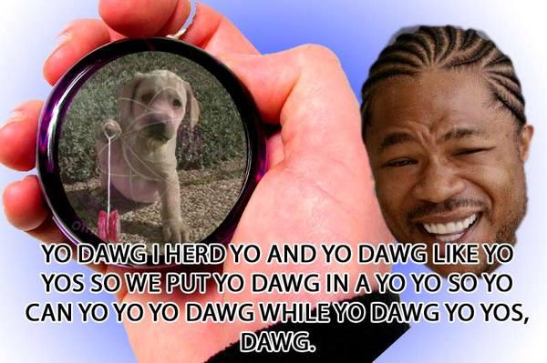 http://i0.kym-cdn.com/photos/images/newsfeed/000/176/526/yo-dawg-yo-yos.jpg