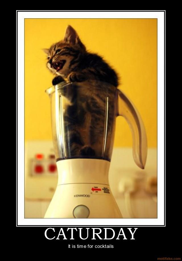 caturday-caturday-drink-demotivational-poster-1250758720.jpg