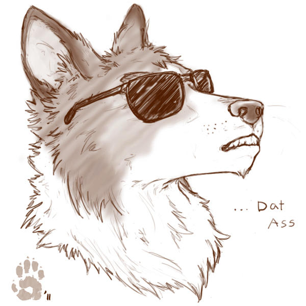sc___14_gus_by_caninehybrid-d4c5g24.jpg
