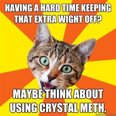 bad_advice_cat_20.jpg