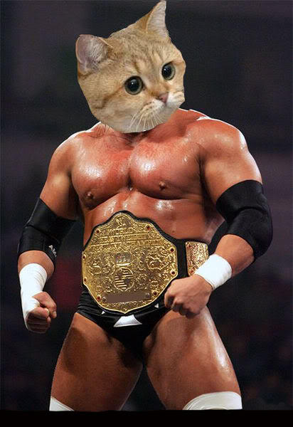 412px-Cat_wrestler.jpg