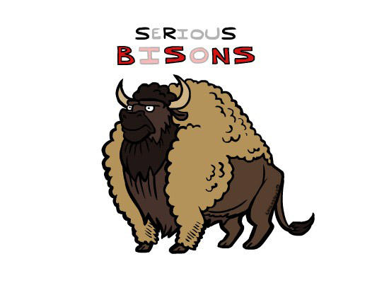 bison.jpg