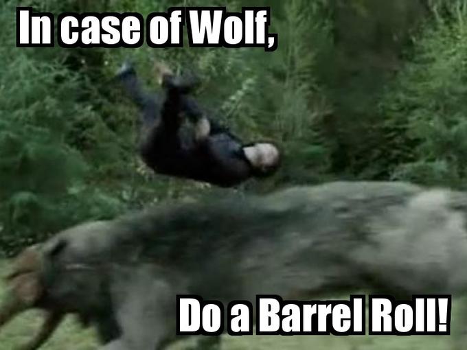 [Image 197099] Do A Barrel Roll Know Your Meme