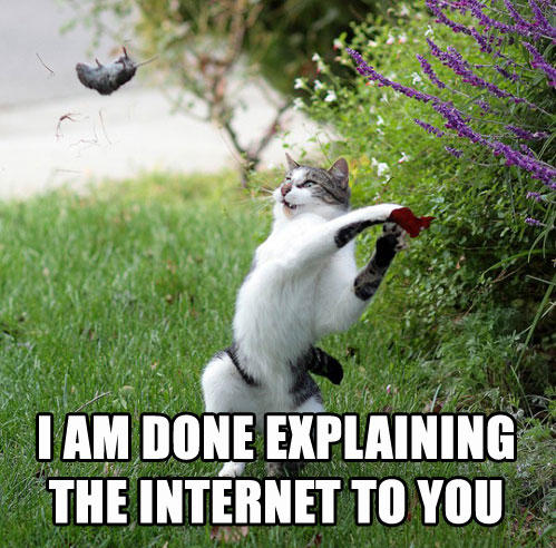 INTERNETCAT.jpg