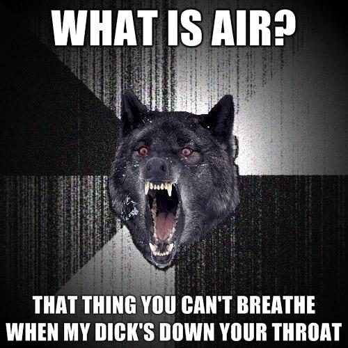 tumblr_lbxqarrnb91qd8xj4o1_500.jpg