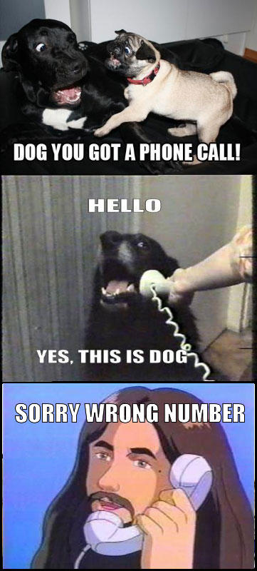 YES-THIS-IS-DOG-8.jpg