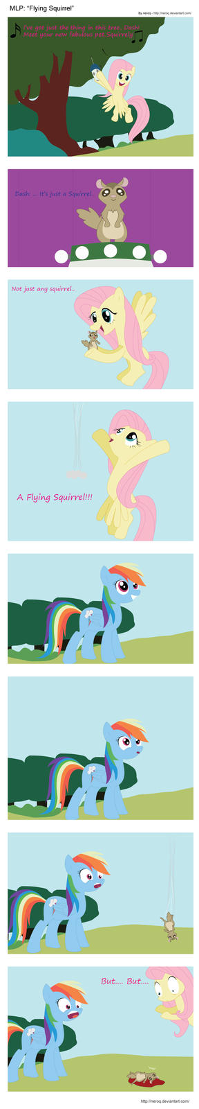 flyingsquirrel.jpg