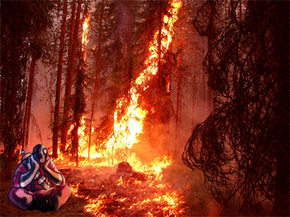 forestpyro.png