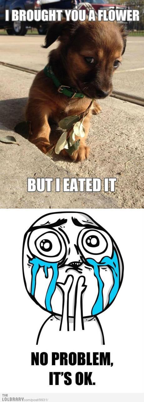 tumblr_lvu9f0ilvJ1qh87wbo1_1280.jpg