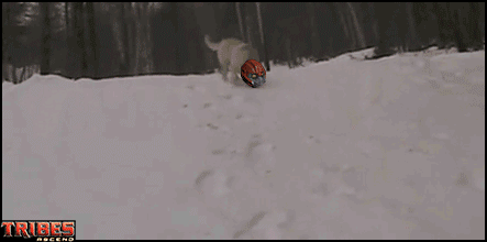 e22.gif