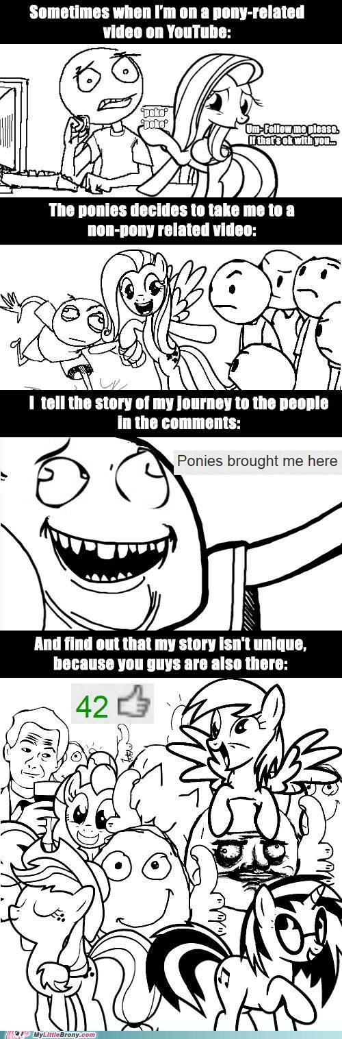 14a.jpg