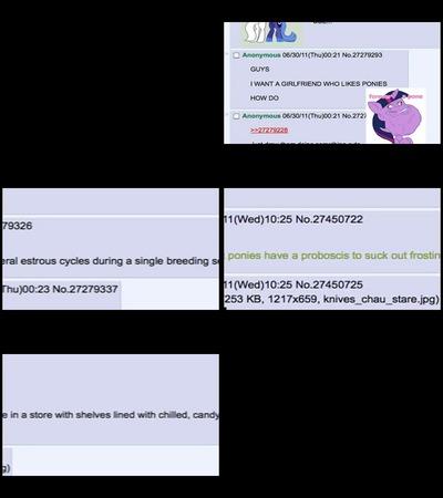 c31.jpg