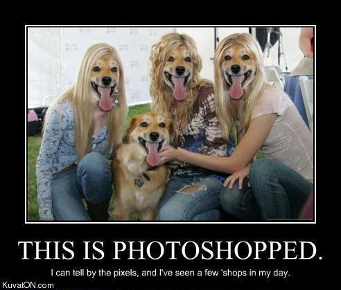 Posted Image