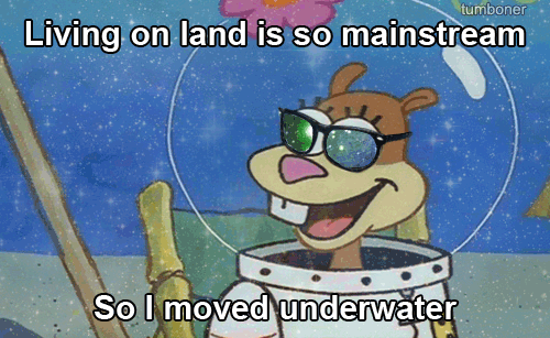 e67.gif