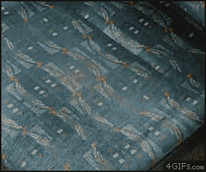 af4.gif