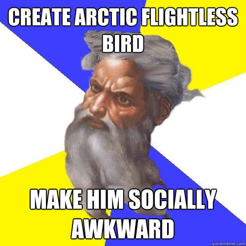b93.jpg