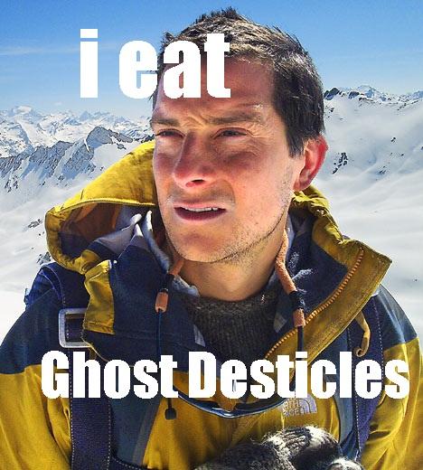 e41.jpg