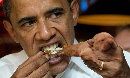 tender puppy obama the eater of dogs know your meme d7b tender puppy obama the eater of dogs know your meme,Tender Meme