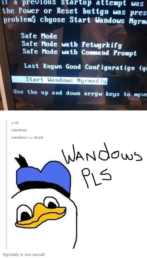 wandows pls