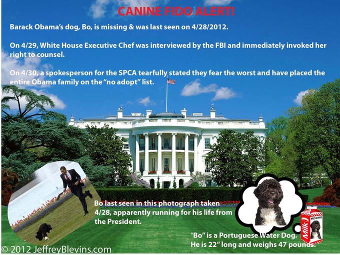 Bo, Obama's Dog, Is Missing