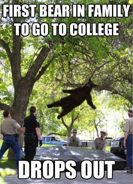 eff.jpg