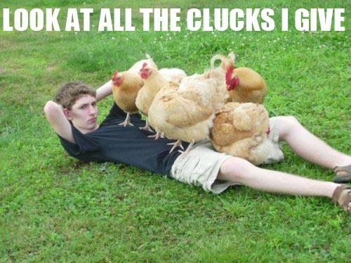 Look at all the clucks I give...