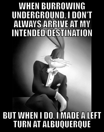 Most Interesting Rabbit In The World - Left Turn