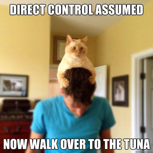 http://www.reddit.com/r/AdviceAnimals/comments/ufh6d/controll_cat/
