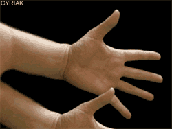 Hand fingers