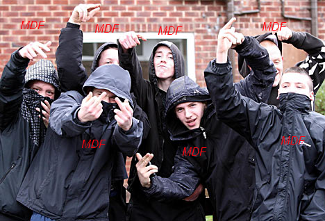 cc4.png