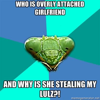 Praying mantis gets jealous
