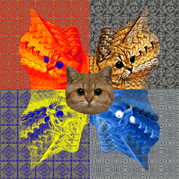 OBEY KITTY DESTROY DOGS