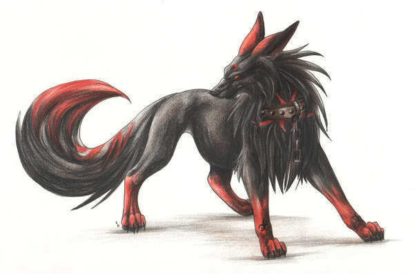 Wolf Shadow