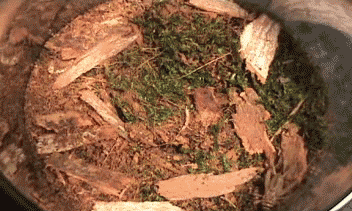 d5a.gif