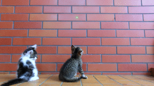 get down!