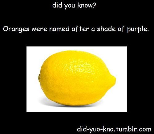 I thought it was a shade of blue!