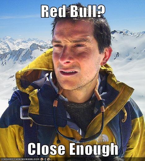 438.jpg