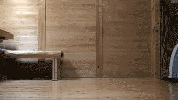 cat don't give a fuck