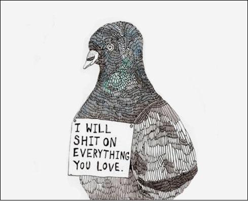 A Bird's Life In Goal