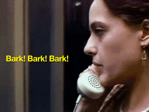 686.gif