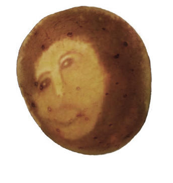 ecce potato