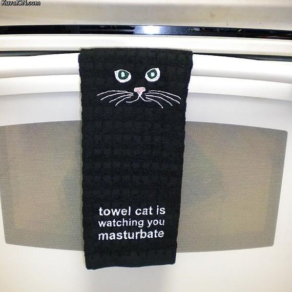 Towel Cat