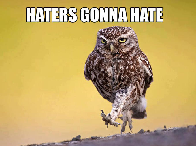 Haters gonna hate Haters Gonna Hate Know Your Meme