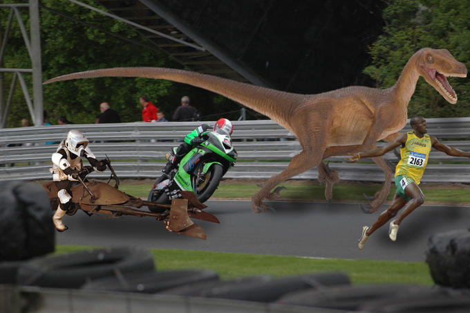 Legitimate race