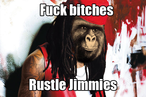 Fuck bitches, rustle jimmies