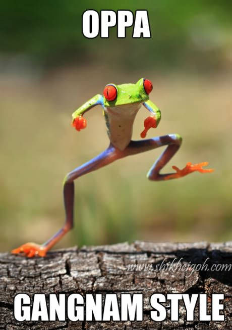 huh i've uploaded the original one in dafuq interesting 529 huh i've uploaded the original one in dafuq interesting,Gangnam Style Memes