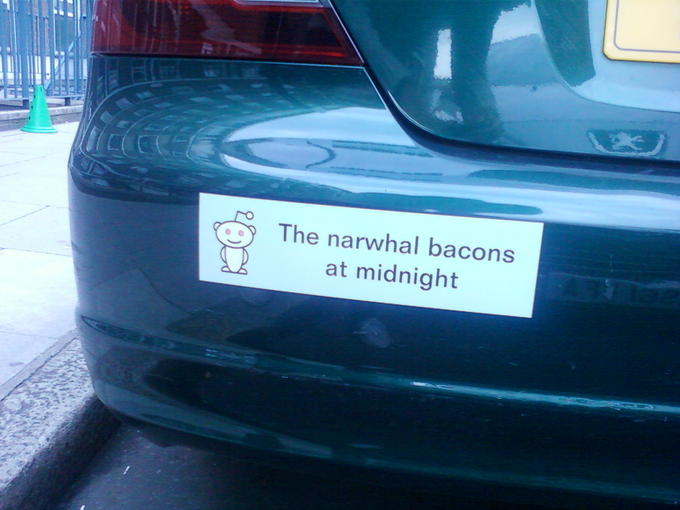 Car Bumper Sticker